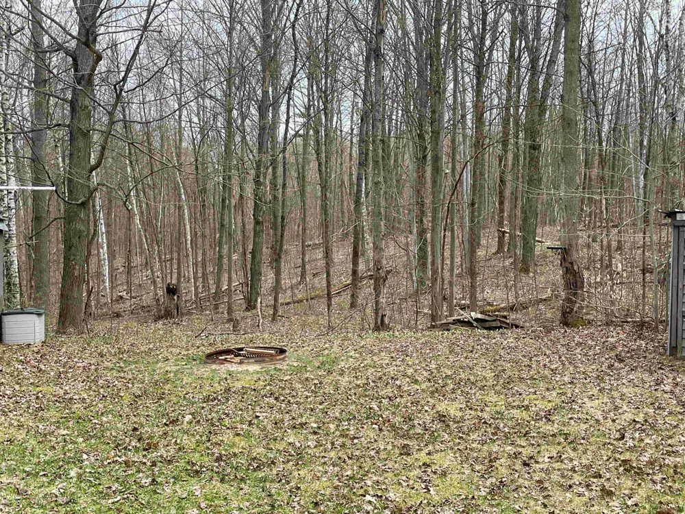 ironwood Rose Township, MI 48635