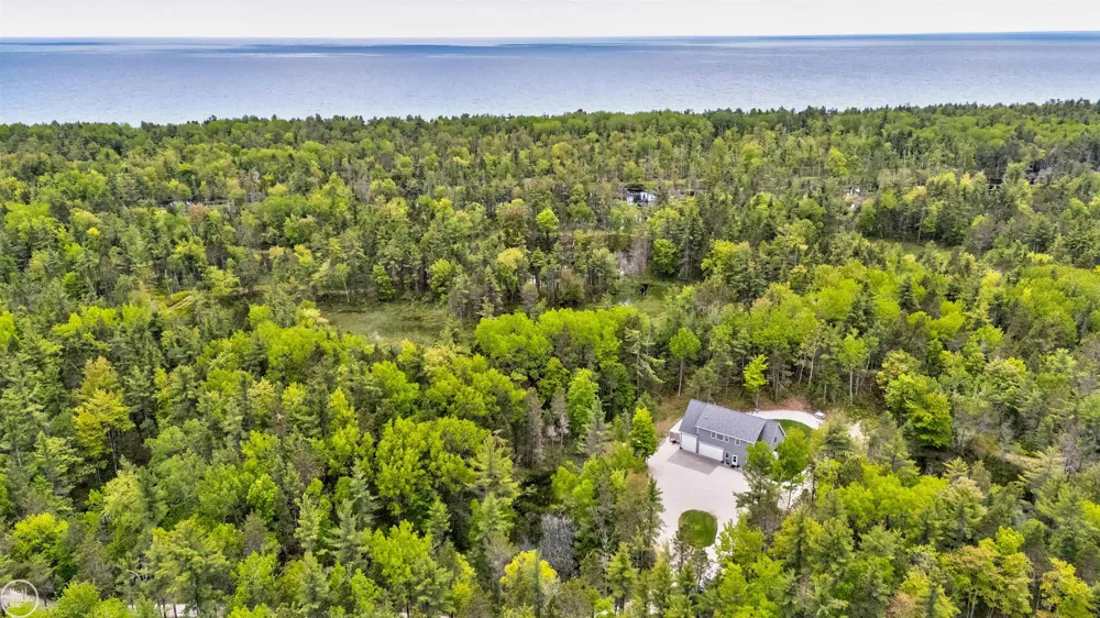 251 S Lake Michigan Road Doyle Township, MI 49840