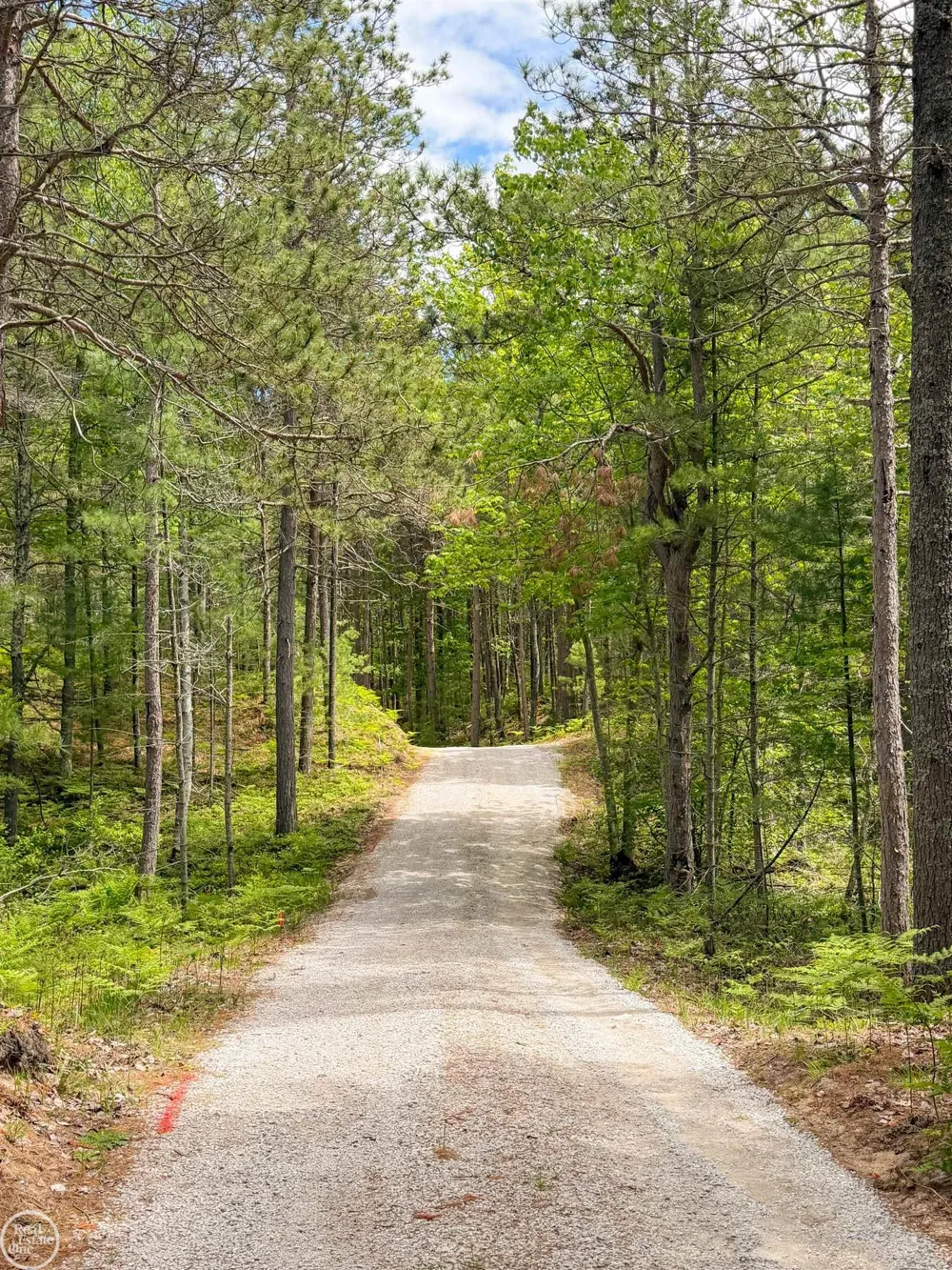 251 S Lake Michigan Road Doyle Township, MI 49840