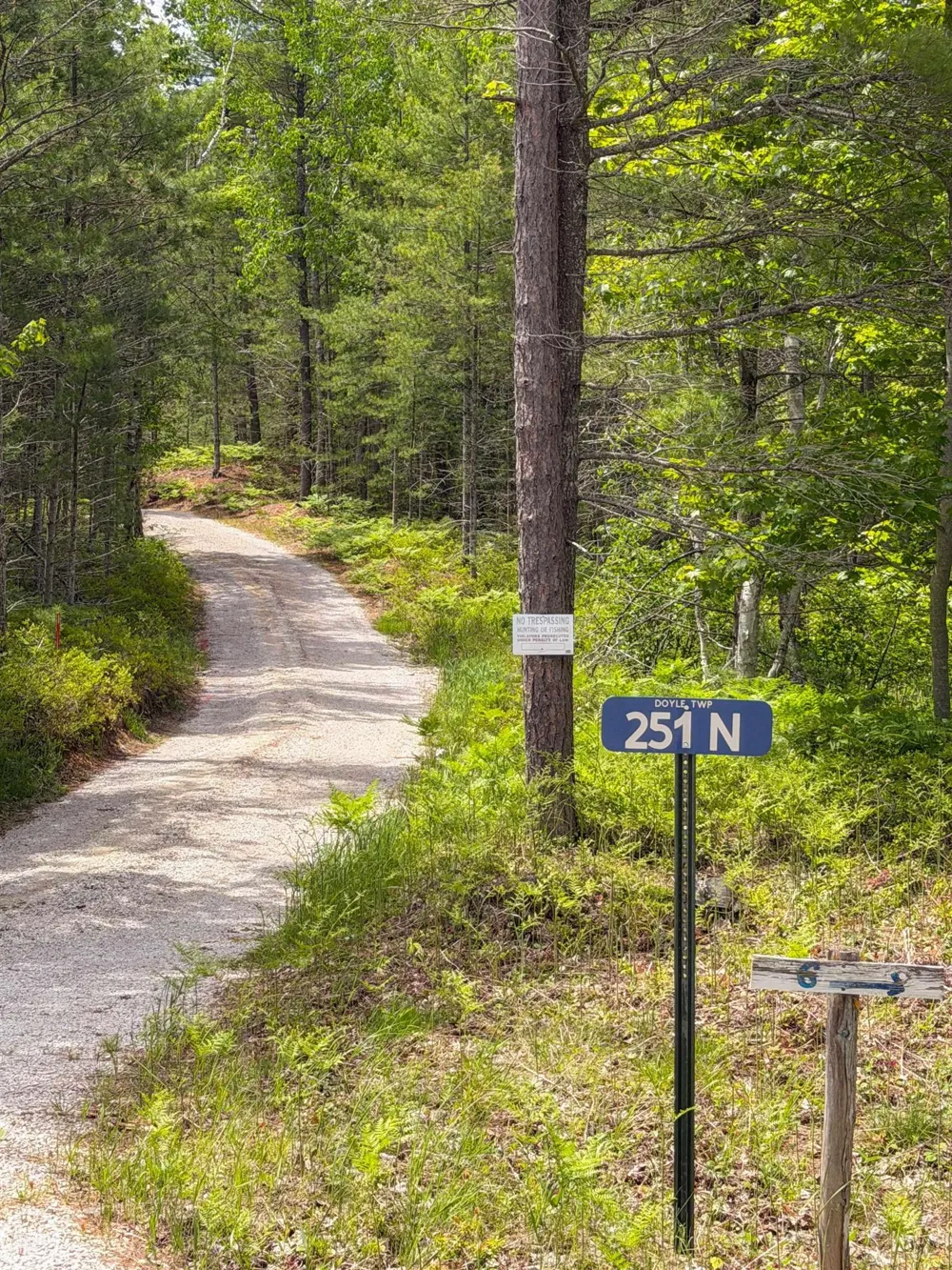 251 S Lake Michigan Road Doyle Township, MI 49840