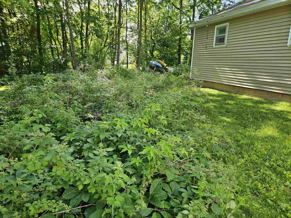 108 S Huron Reeder Township, MI 49651