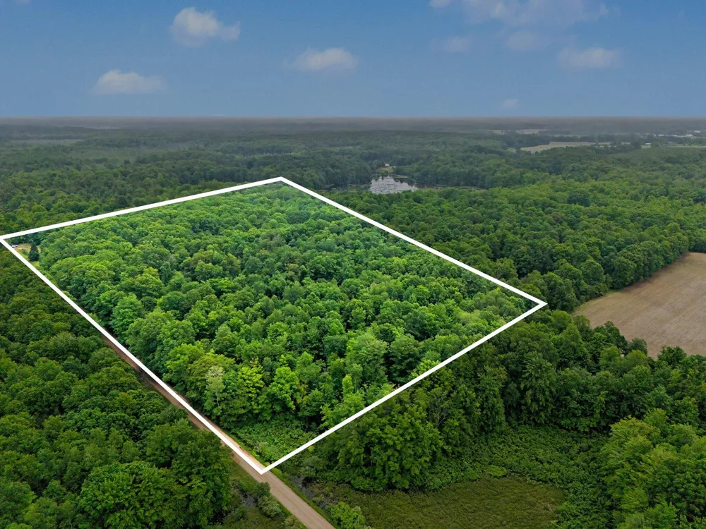 4791 E Fox Road Elbridge Township, MI 49420