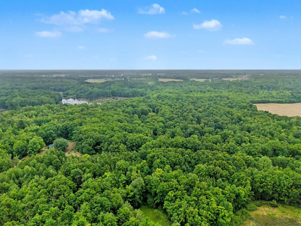 4791 E Fox Road Elbridge Township, MI 49420