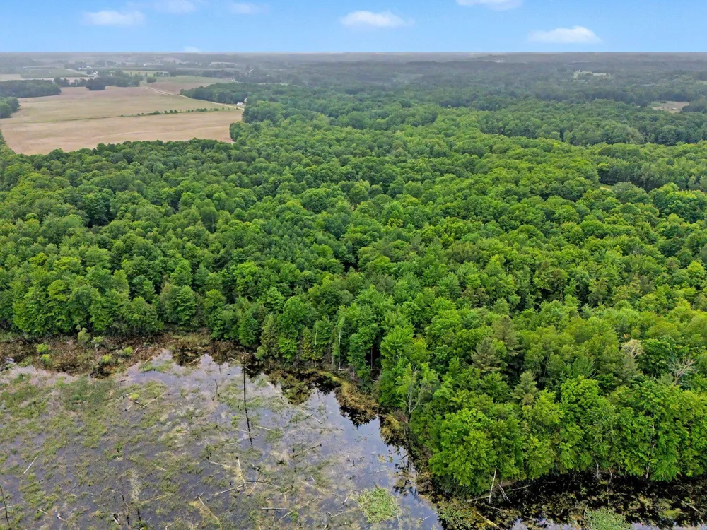 4791 E Fox Road Elbridge Township, MI 49420