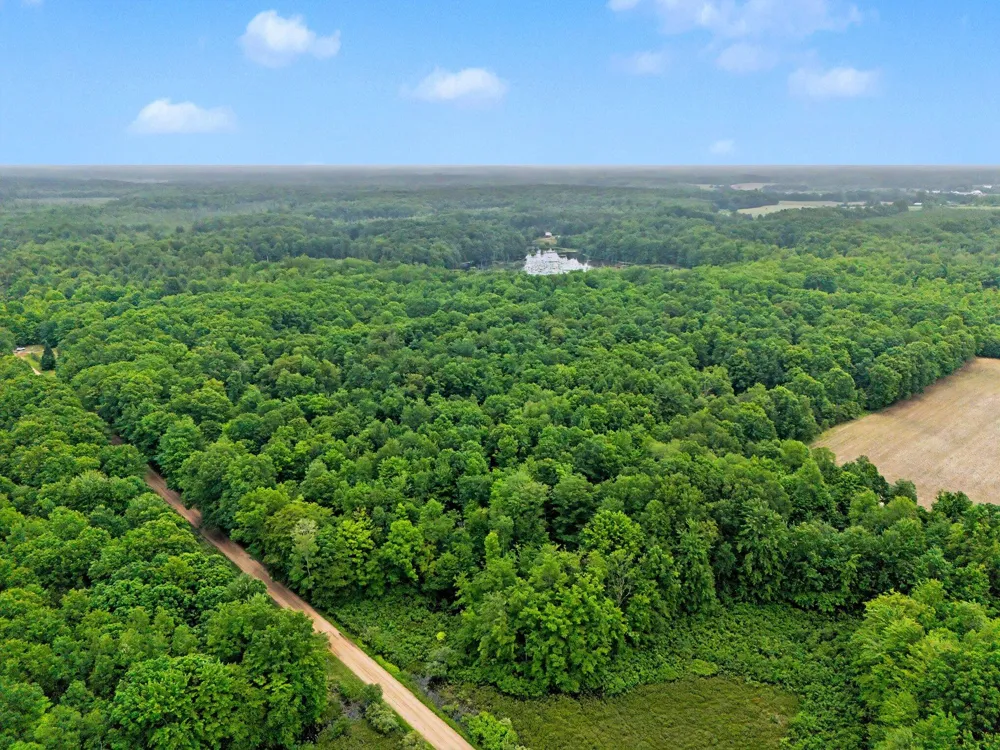 4791 E Fox Road Elbridge Township, MI 49420