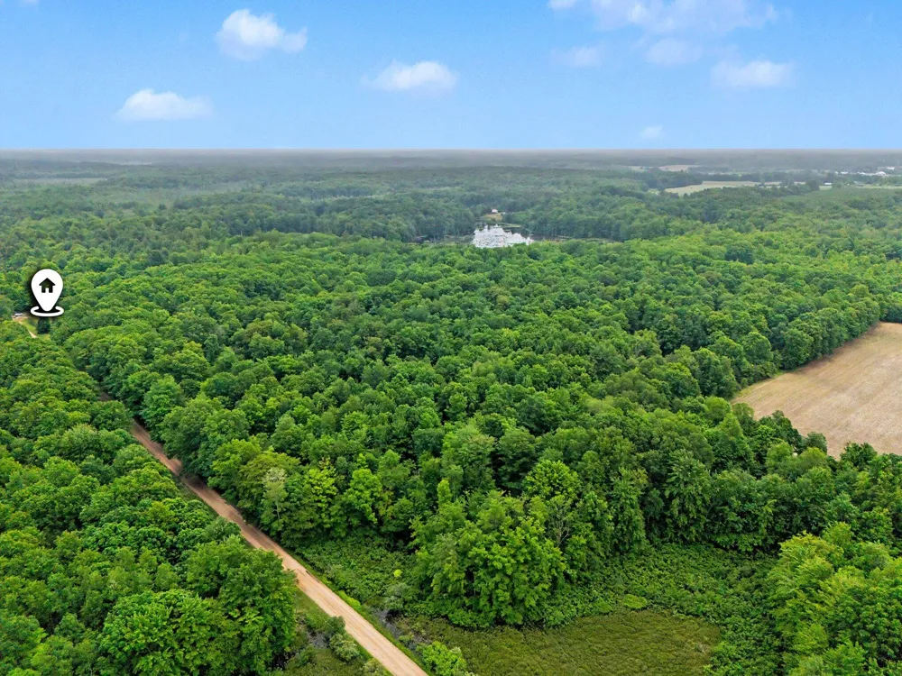 4791 E Fox Road Elbridge Township, MI 49420