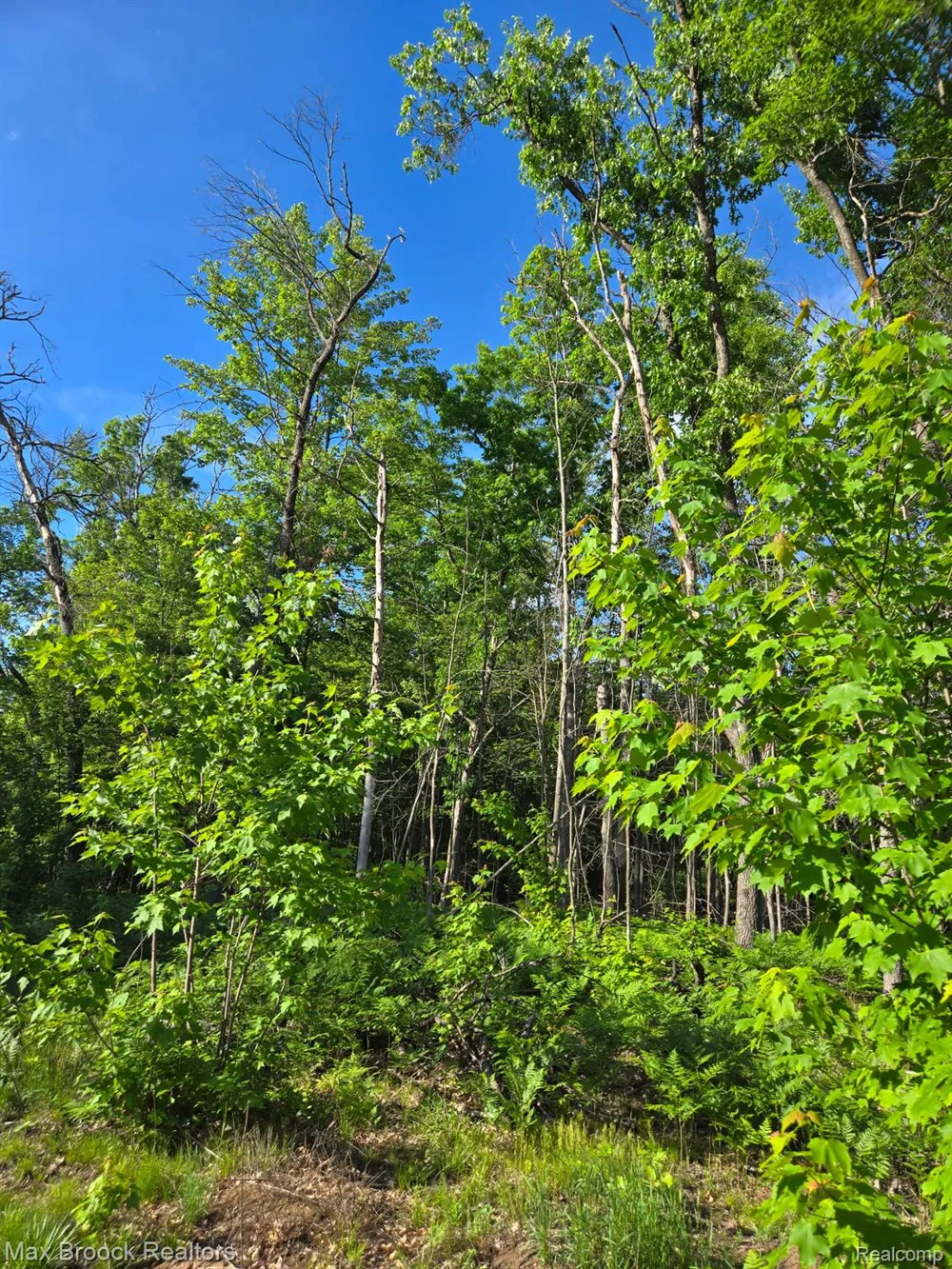 265 Huron Forest Drive Mentor Township, MI 48647