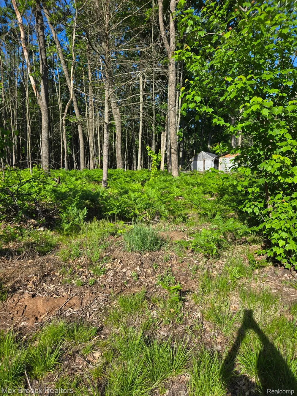 265 Huron Forest Drive Mentor Township, MI 48647