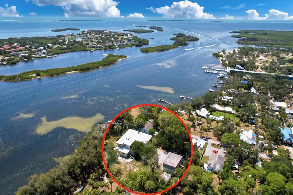 1275 MICKLER LANE Tarpon Springs, FL 34689