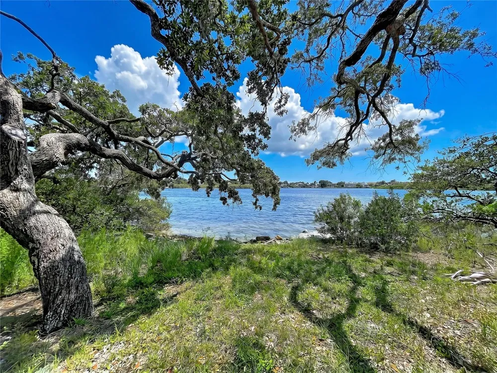 1275 MICKLER LANE Tarpon Springs, FL 34689