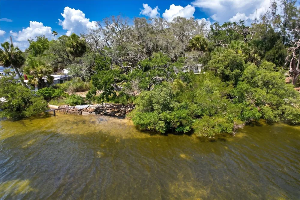 1275 MICKLER LANE Tarpon Springs, FL 34689