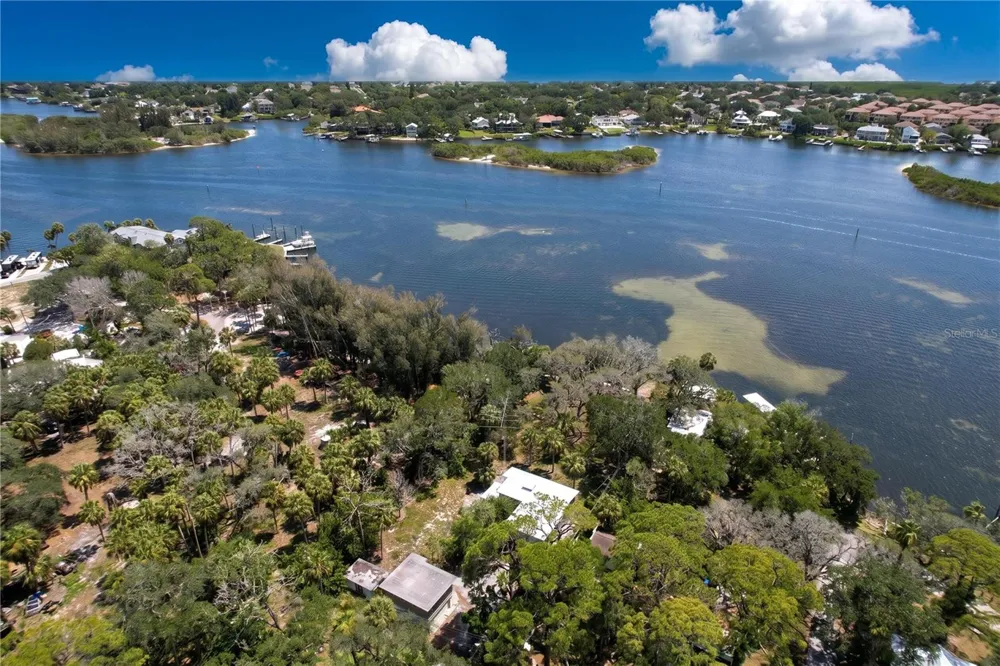 1275 MICKLER LANE Tarpon Springs, FL 34689
