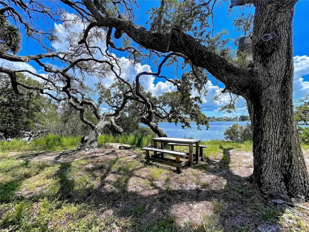 1275 MICKLER LANE Tarpon Springs, FL 34689