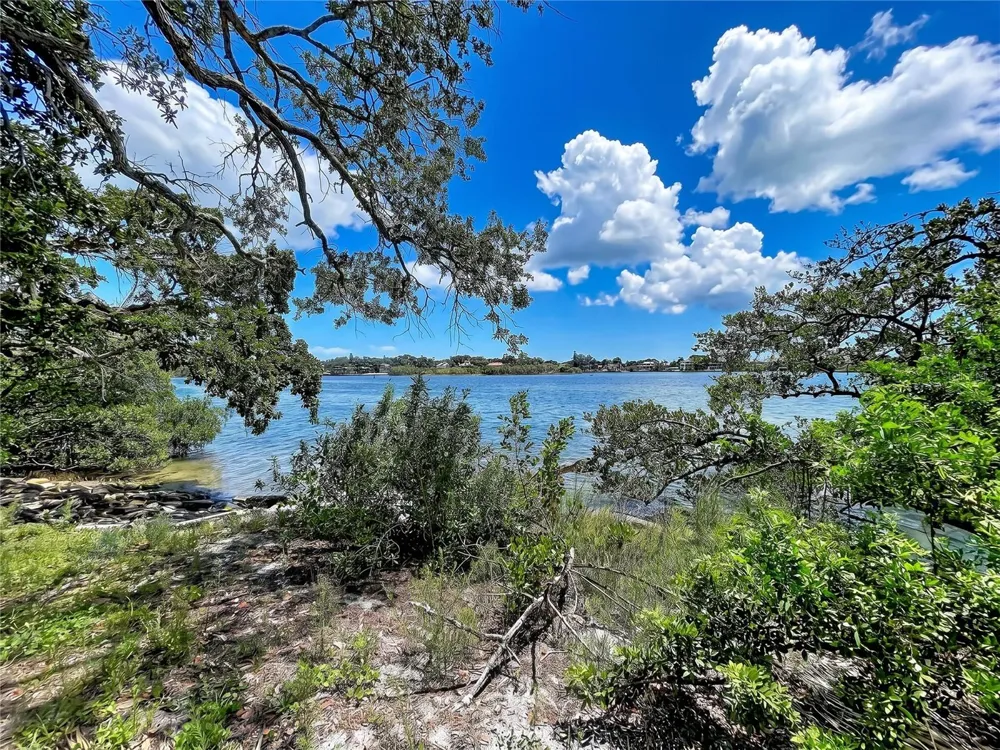 1275 MICKLER LANE Tarpon Springs, FL 34689