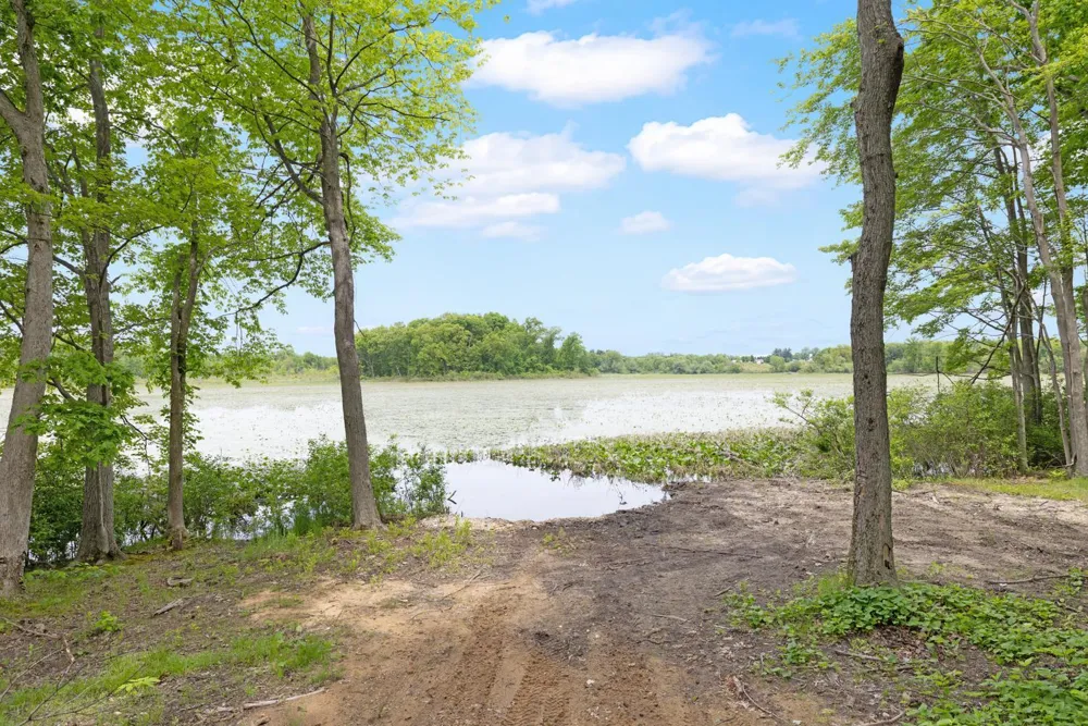 11582 M 60 Fabius Township, MI 49093