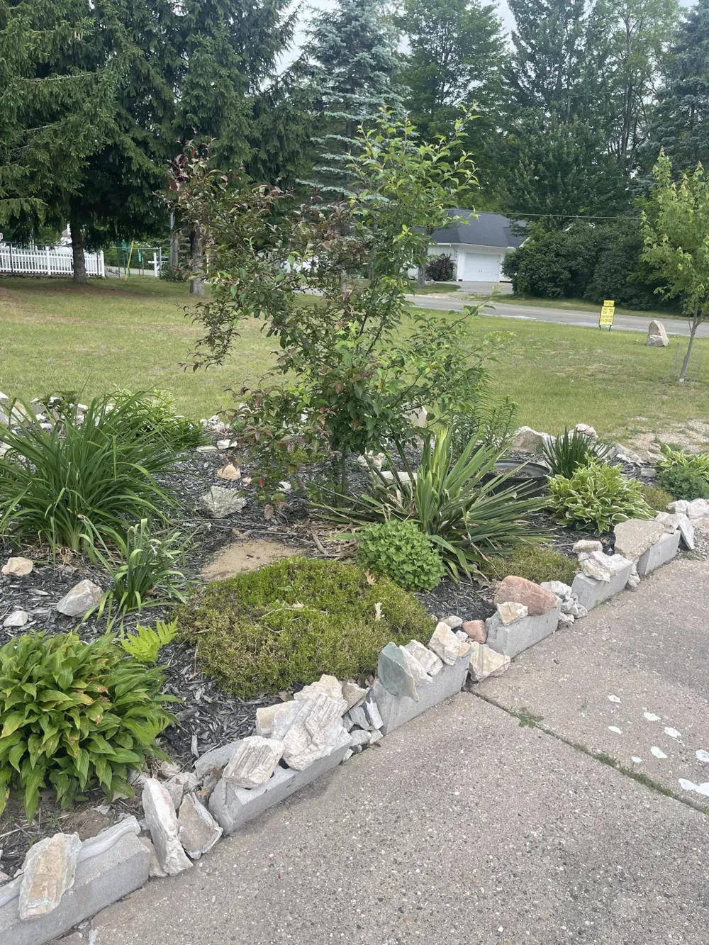 1807 S Lake Mitchell Drive Cherry Grove Township, MI 49601