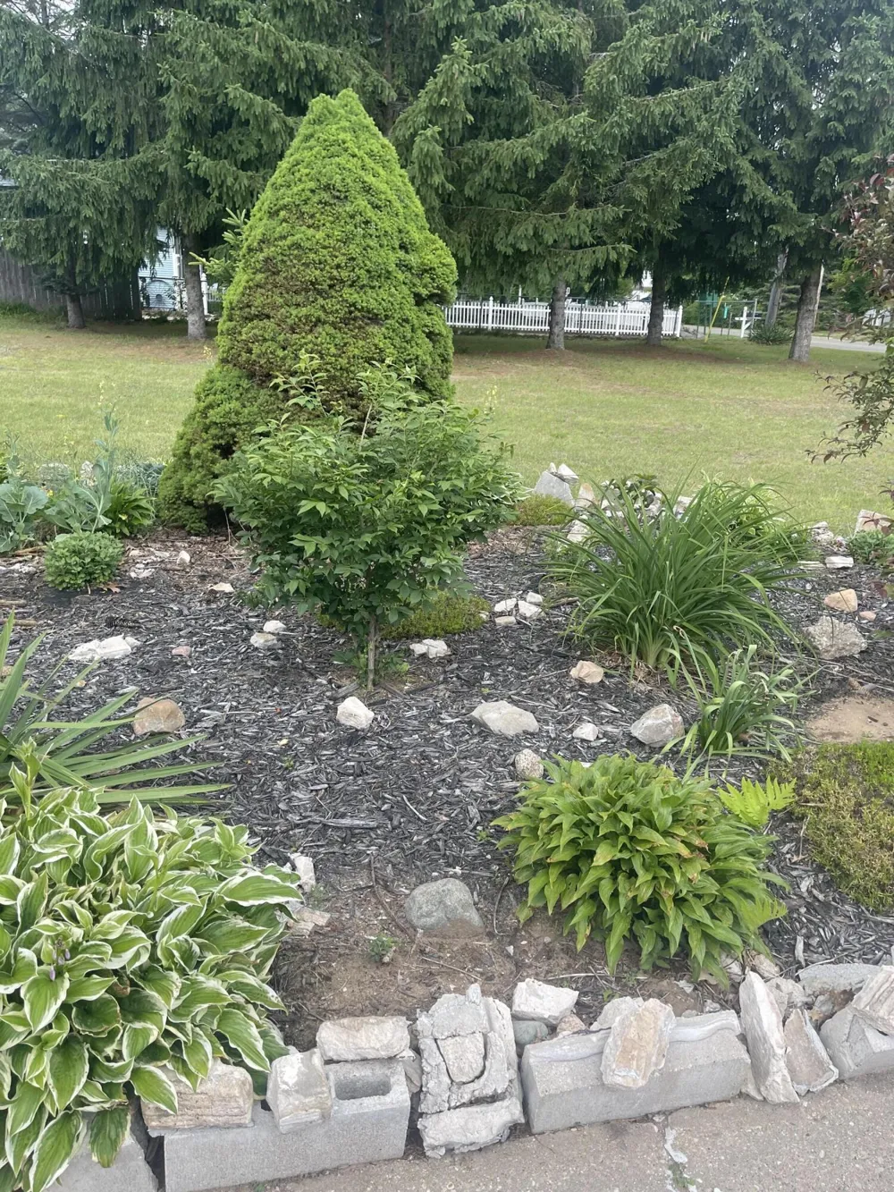 1807 S Lake Mitchell Drive Cherry Grove Township, MI 49601