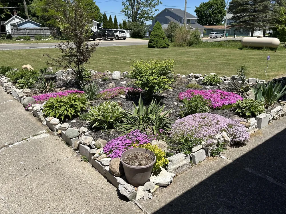 1807 S Lake Mitchell Drive Cherry Grove Township, MI 49601