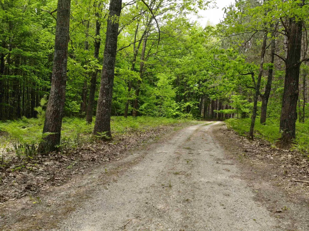 135 Montgomery Road Orange Township, MI 49680