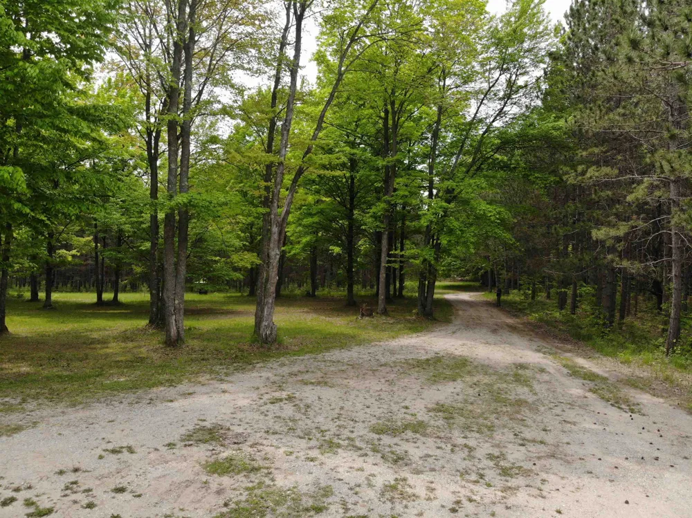 135 Montgomery Road Orange Township, MI 49680