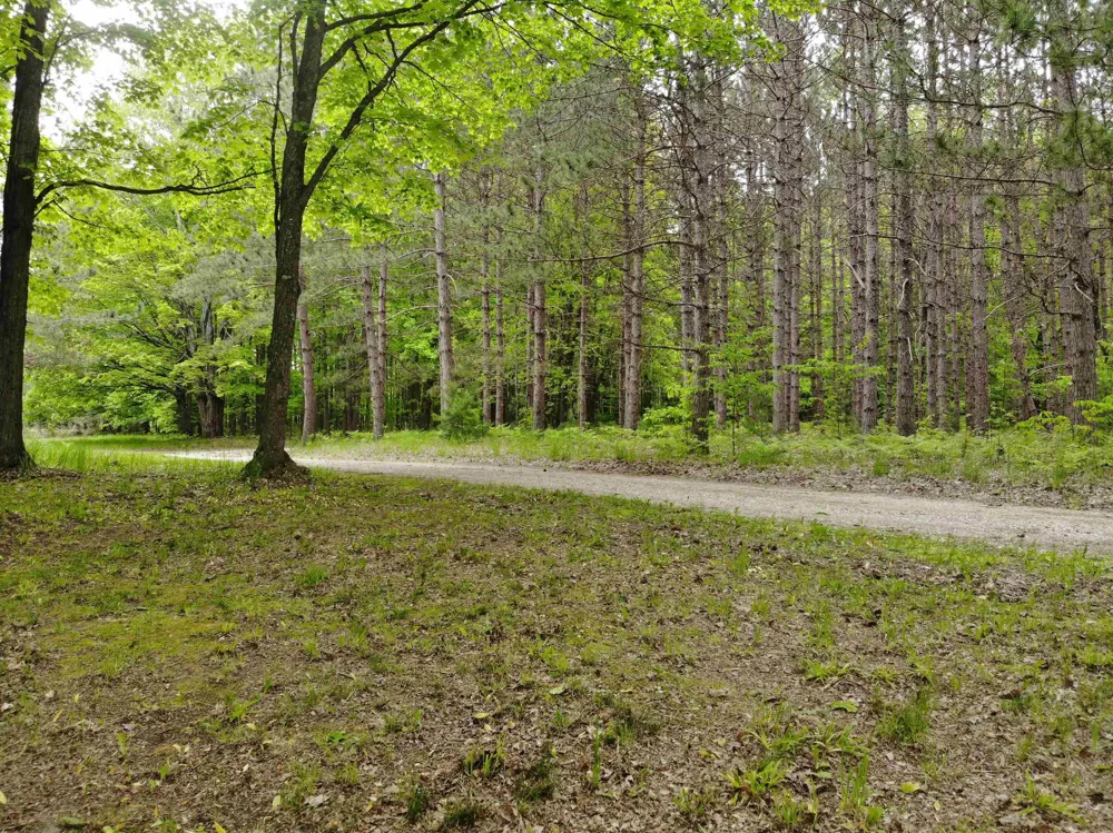 135 Montgomery Road Orange Township, MI 49680