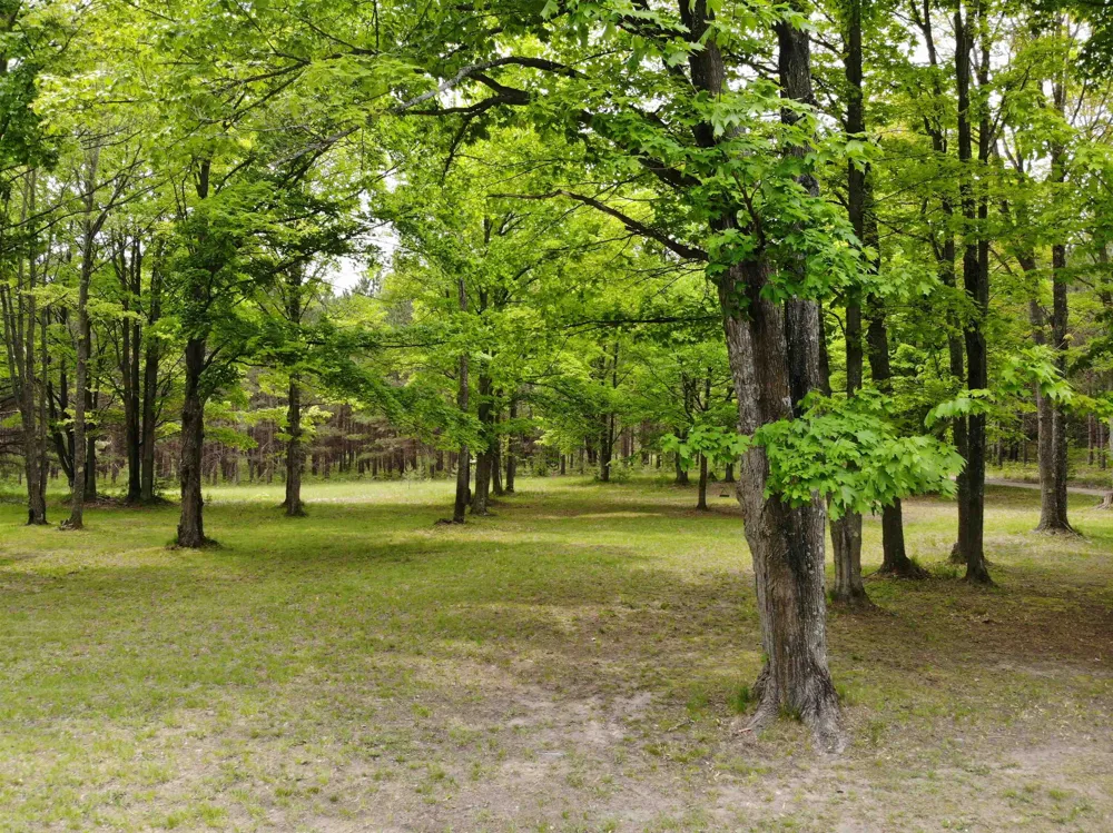 135 Montgomery Road Orange Township, MI 49680