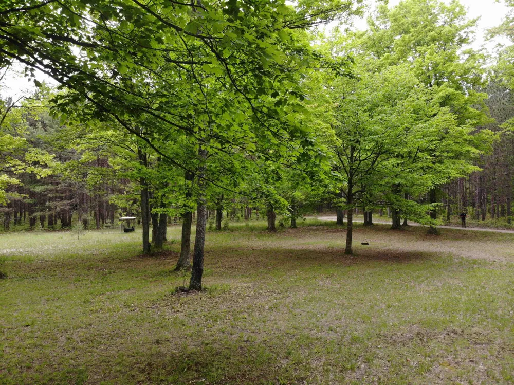 135 Montgomery Road Orange Township, MI 49680