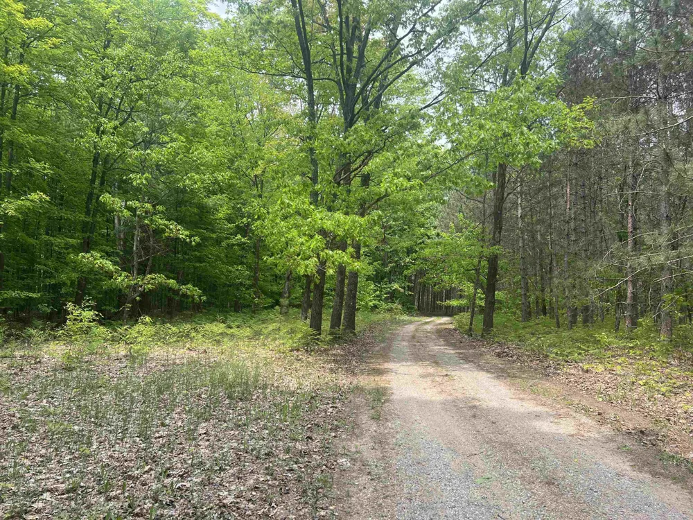 135 Montgomery Road Orange Township, MI 49680