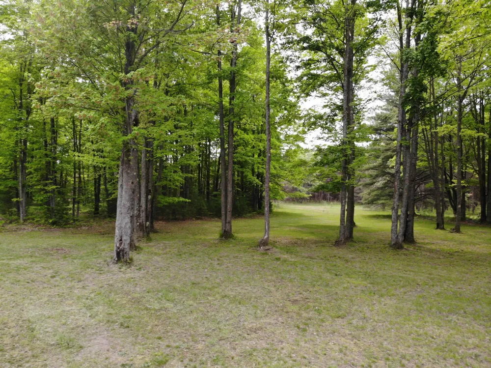 135 Montgomery Road Orange Township, MI 49680