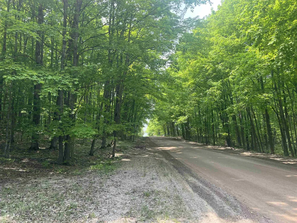 135 Montgomery Road Orange Township, MI 49680