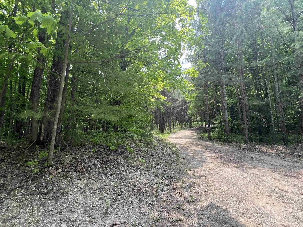 135 Montgomery Road Orange Township, MI 49680