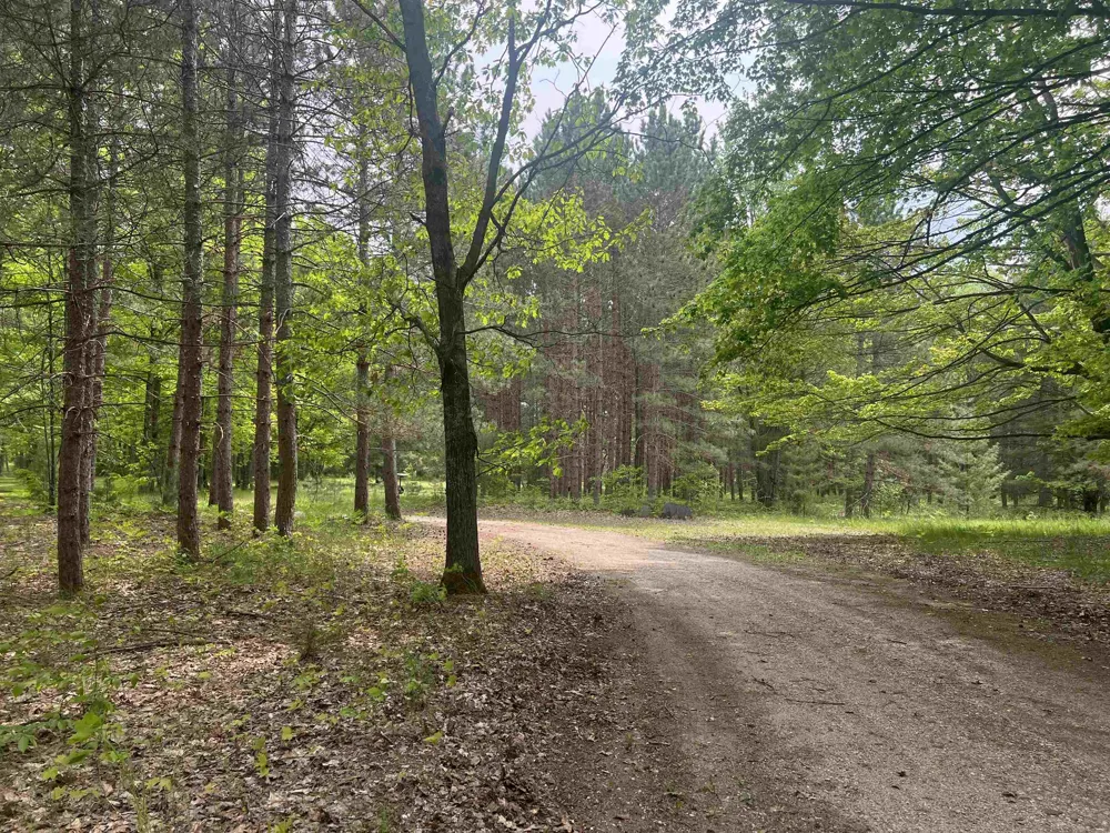 135 Montgomery Road Orange Township, MI 49680