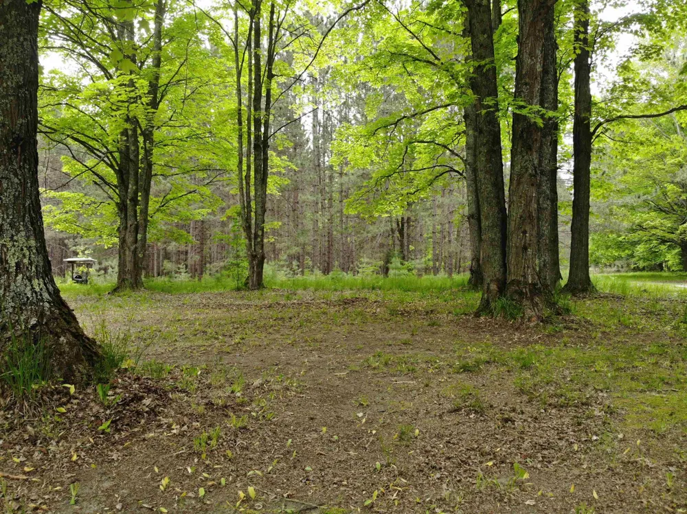 135 Montgomery Road Orange Township, MI 49680