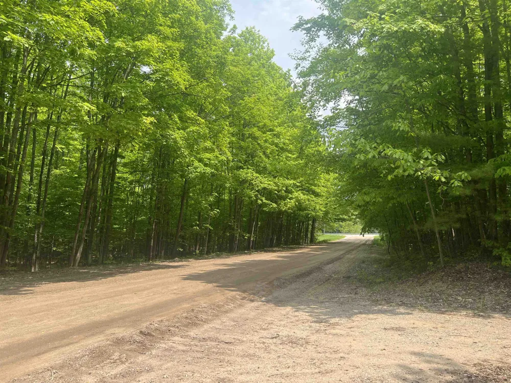 135 Montgomery Road Orange Township, MI 49680