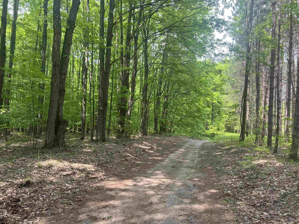 135 Montgomery Road Orange Township, MI 49680