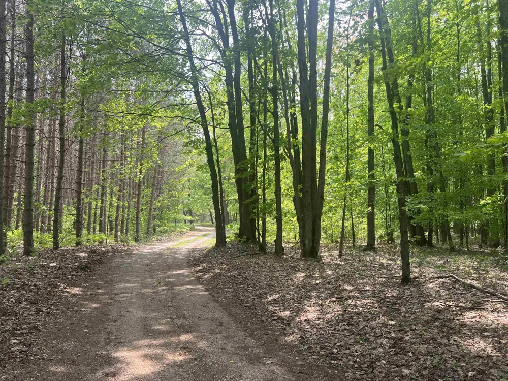 135 Montgomery Road Orange Township, MI 49680