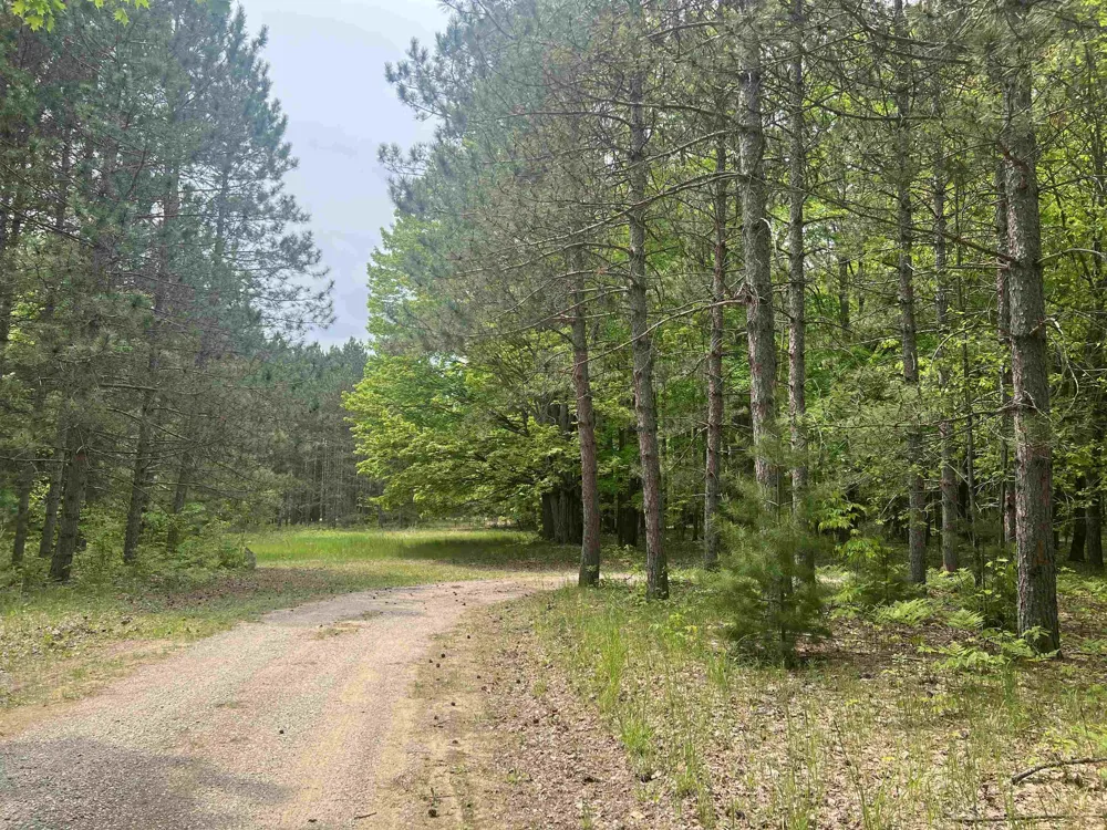 135 Montgomery Road Orange Township, MI 49680