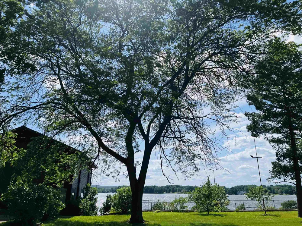 1084 Clubhouse Drive Broomfield Township, MI 48893