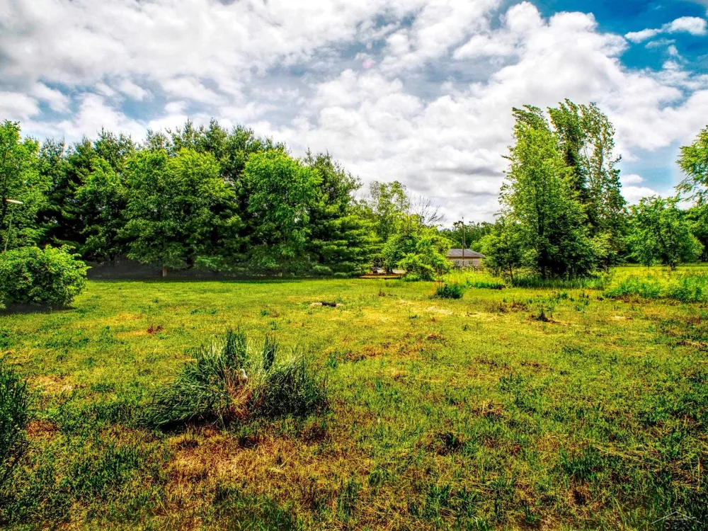 1128 Rashelle Drive Crystal Township, MI 48818
