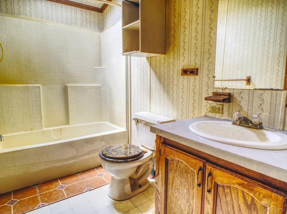 1128 Rashelle Drive Crystal Township, MI 48818