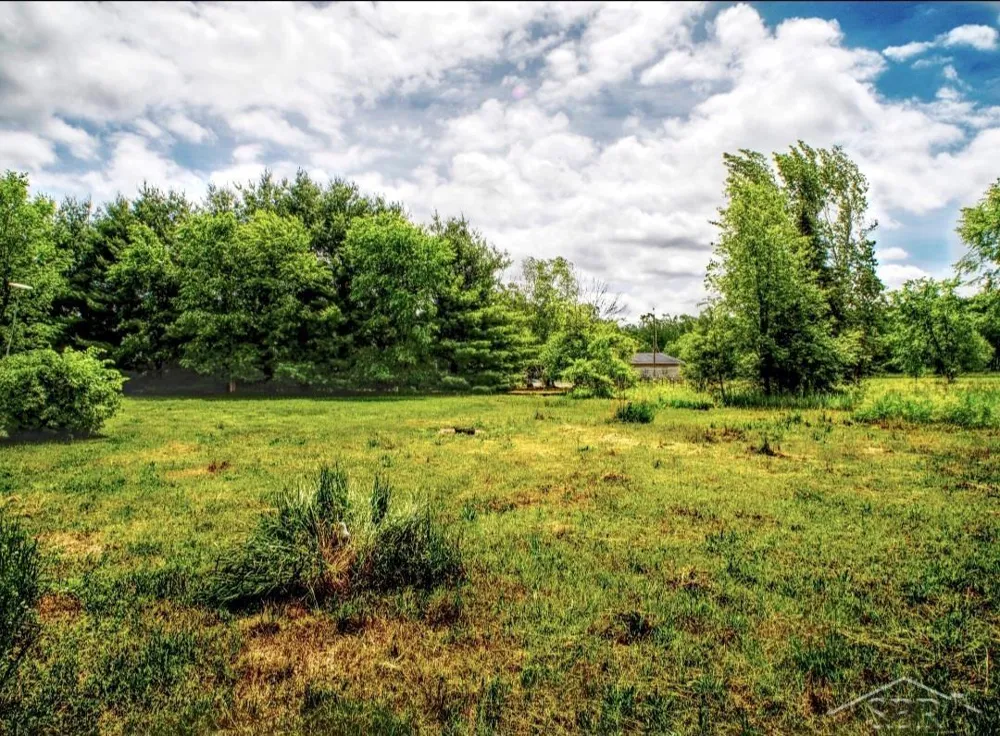 1128 Rashelle Drive Crystal Township, MI 48818