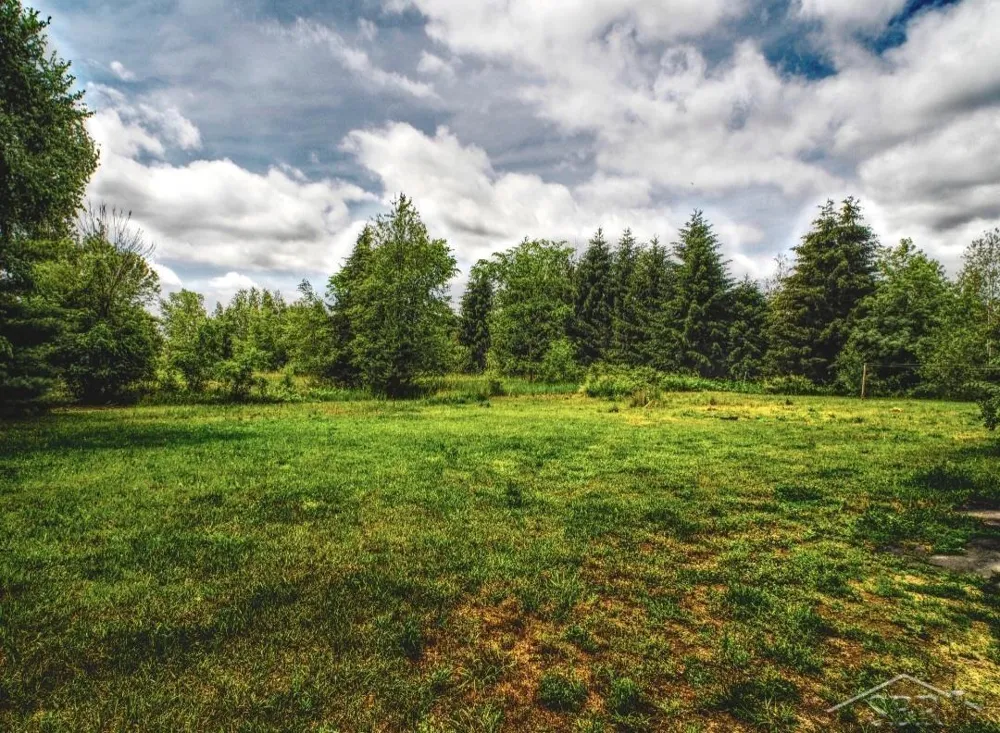 1128 Rashelle Drive Crystal Township, MI 48818