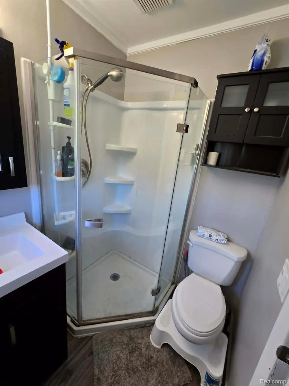 5279 Robinwood Drive Clyde Township, MI 48049