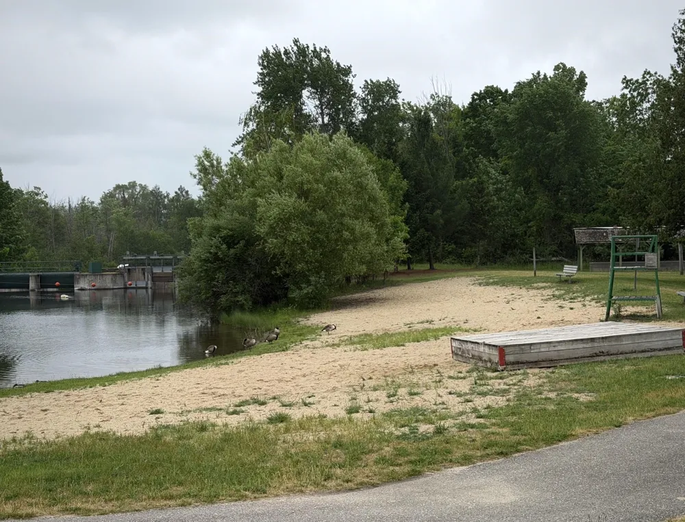 204 E Forest Home Avenue Forest Home Township, MI 49615