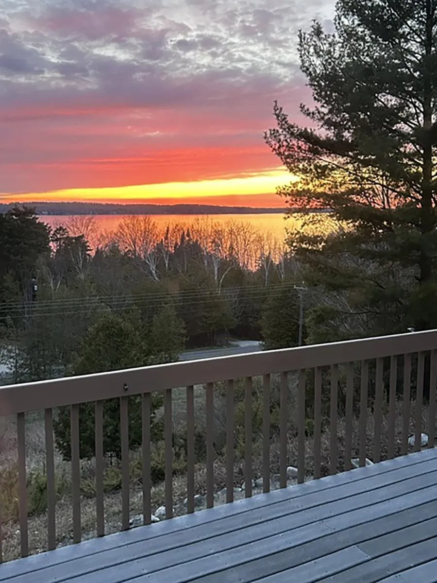 337 S East Torch Lake Drive Forest Home Township, MI 49615