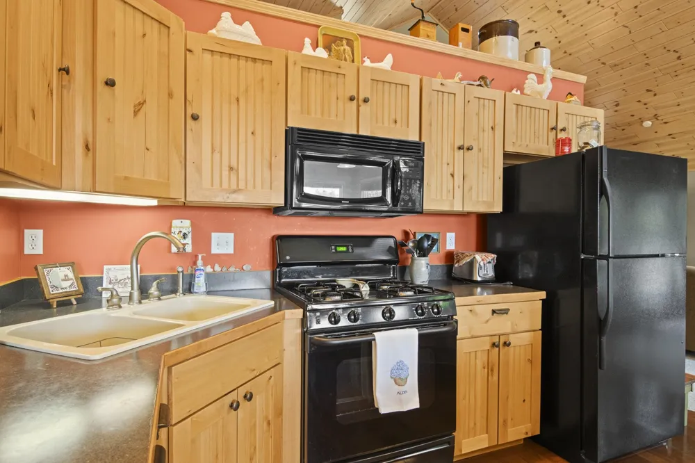 337 S East Torch Lake Drive Forest Home Township, MI 49615