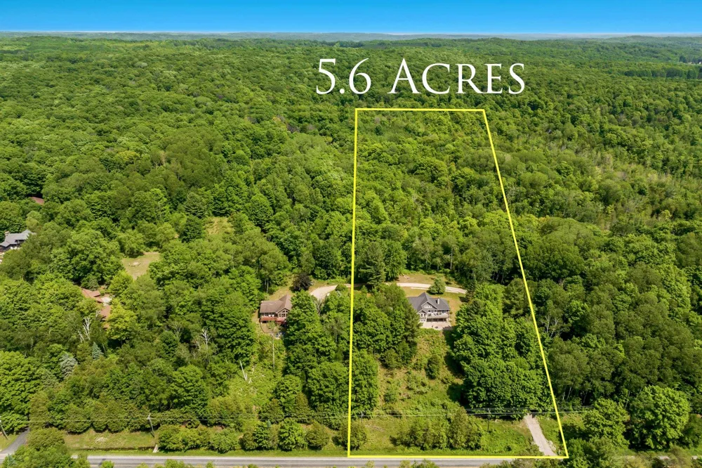 337 S East Torch Lake Drive Forest Home Township, MI 49615