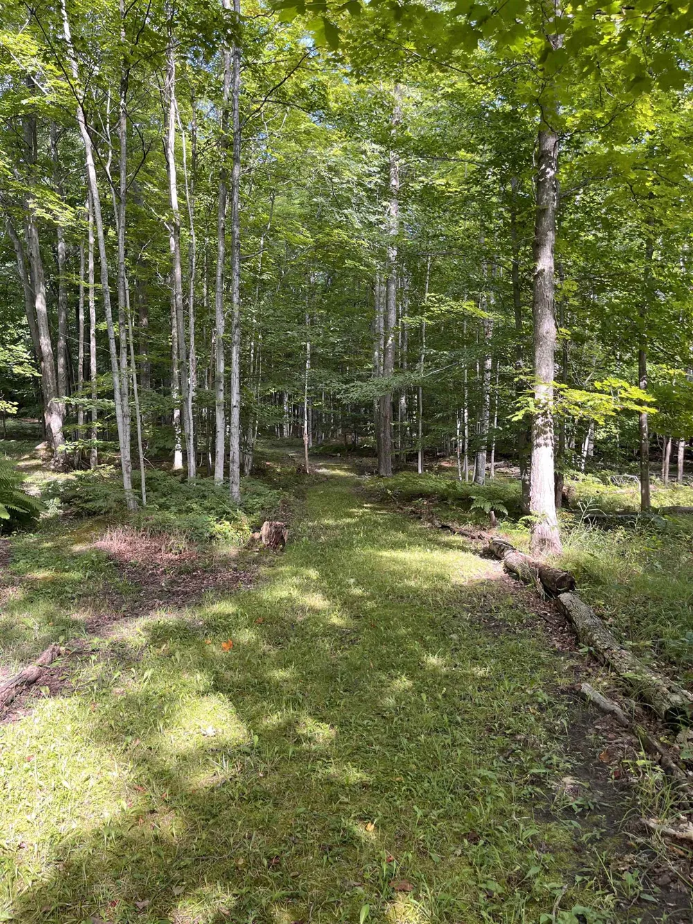 337 S East Torch Lake Drive Forest Home Township, MI 49615