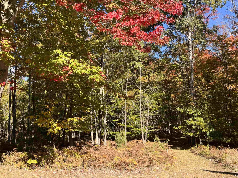 337 S East Torch Lake Drive Forest Home Township, MI 49615