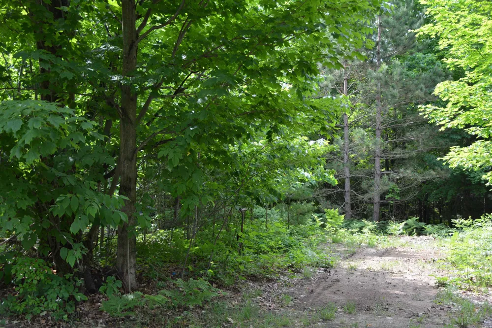 9677 Westwood Drive Long Lake Township, MI 49685